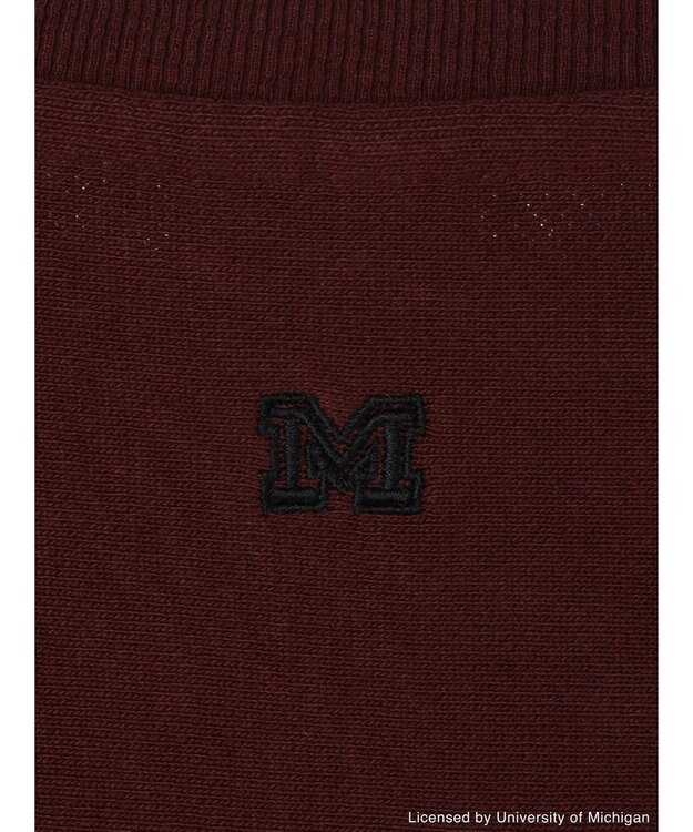 AMERICAN HOLIC Ｍｉｃｈｉｇａｎ　Ｕｎｉｖｅｒｓｉｔｙ　スウェット Bordeaux