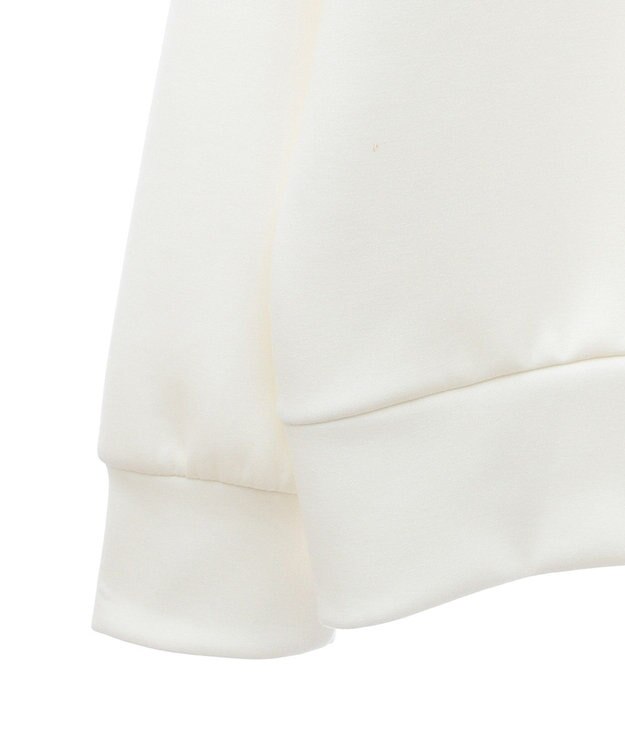 Green Parks １０ｔｈベイマックス／ワンポイントワッペンパーカー Sax