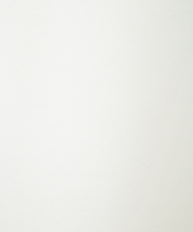 Green Parks １０ｔｈベイマックス／ワンポイントワッペンパーカー Sax