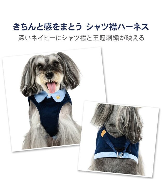 PET PARADISE ペットパラダイス 襟付きベストハーネス ３Ｓ ネイビー×ブルー