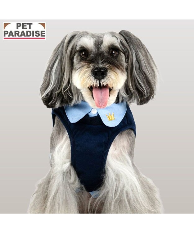 PET PARADISE ペットパラダイス 襟付きベストハーネス ３Ｓ ネイビー×ブルー