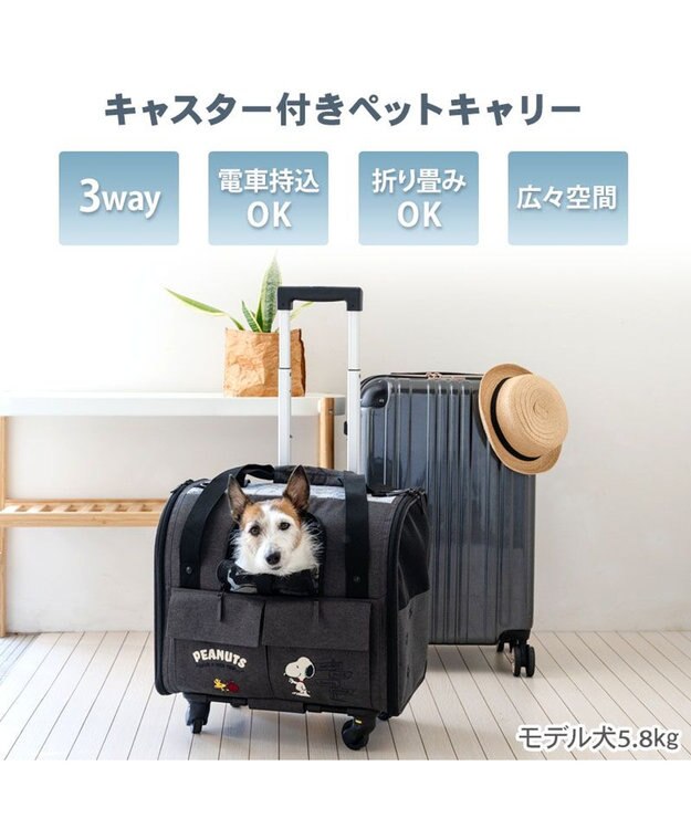 PET PARADISE スヌーピー キャスター付き折り畳みキャリー 小型犬 チャコールグレー