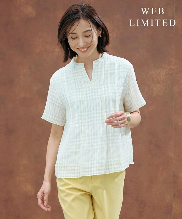 J.PRESS LADIES 【WEB限定カラーあり・洗える】シアーチェック カットソー 【WEB限定カラー】アイボリー×オフギンガム系