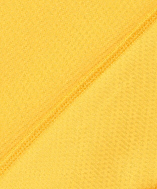 23区GOLF 【MEN】【吸水速乾・UVケア】ベア天竺 モックネックシャツ 適度な厚さで1枚で決まる イエロー系