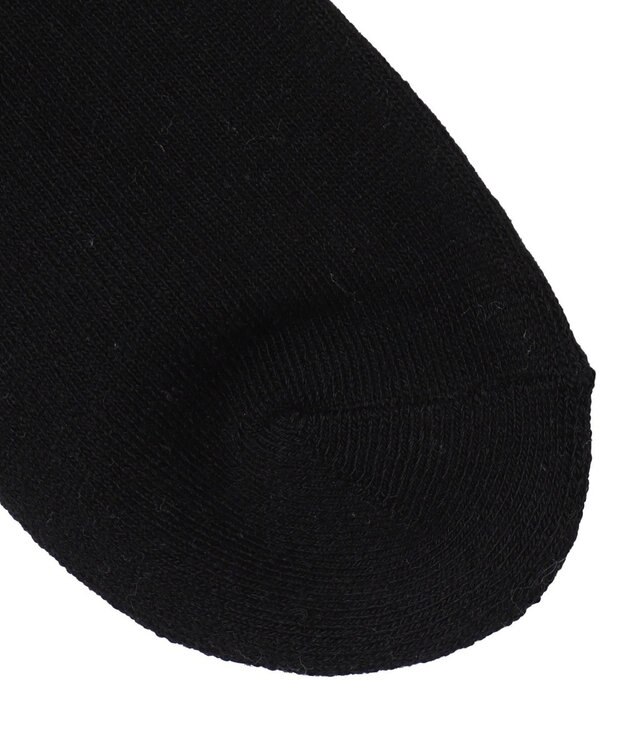 WEGO モチーフロゴ刺繍アンクルパイルソックス 柄2