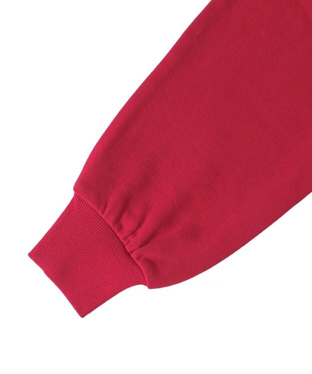 WEGO カレッジロゴビッグジップパーカー レッド