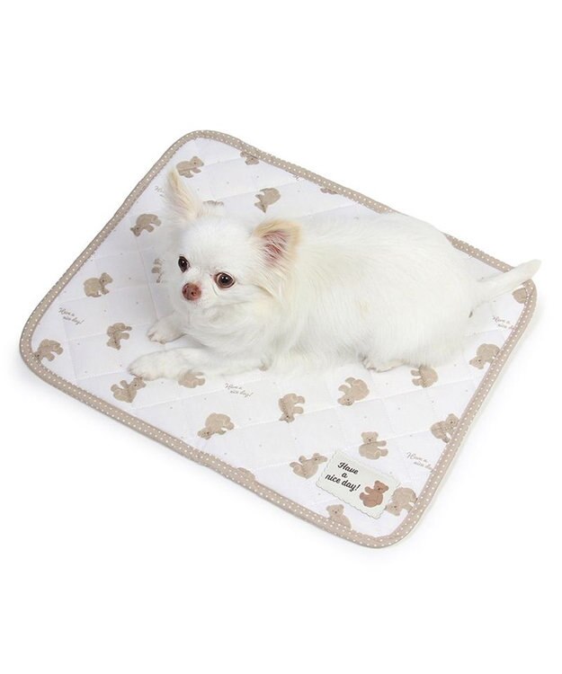 PET PARADISE ペットパラダイス   クール マット《くまちゃん 水玉》48×40㎝ くまちゃん 水玉