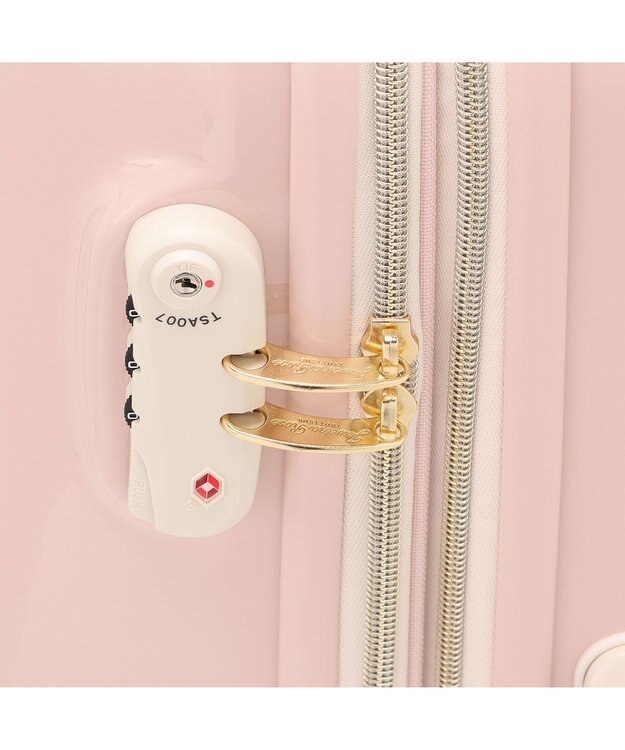 ACE BAGS & LUGGAGE Jewelna Rose キャンディポケットスーツケース Ｌサイズ 39873 ジュエルナローズ フロスティピンク