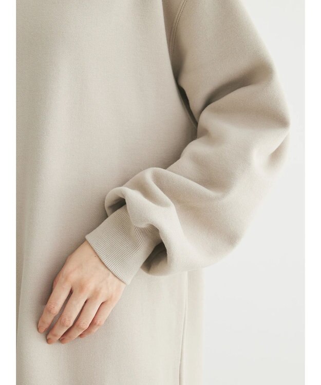 Green Parks Ｂｒｕｓｈｅｄ　裏起毛ワンピース Gray Beige
