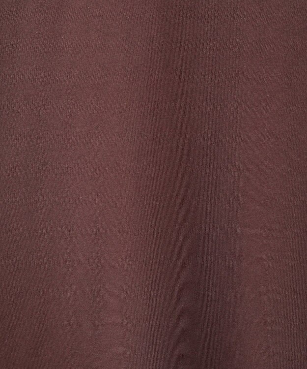 Green Parks ｍｉｆｆｙ／フロントロゴ刺しゅうＴシャツ Brown