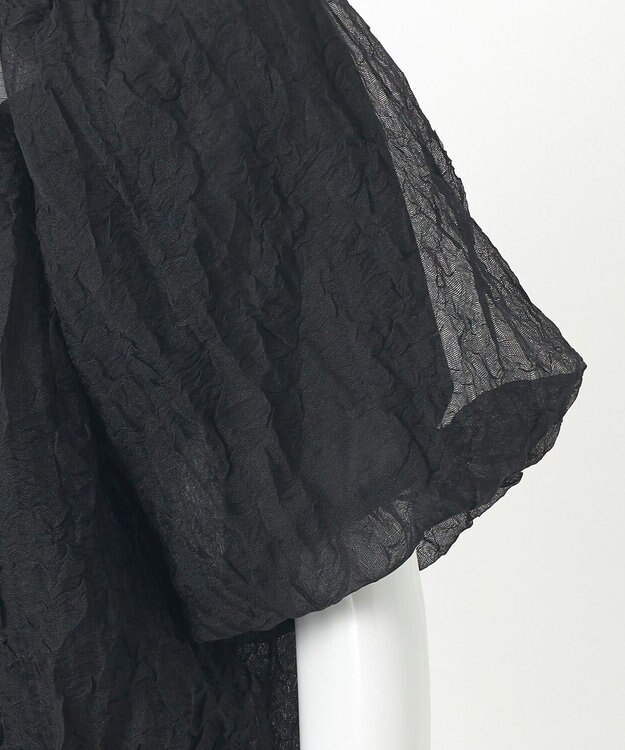 23区 S 【GOLD LABEL】シアーリンクル ブラウス ブラック系