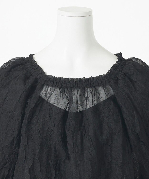 23区 S 【GOLD LABEL】シアーリンクル ブラウス ブラック系