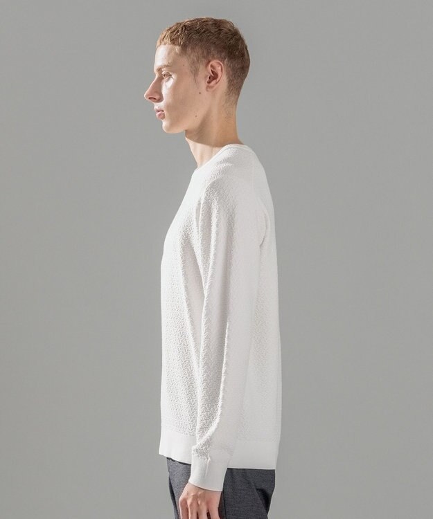 JOSEPH HOMME 【イージーケア】 ヴィスコースリンクス　クルーネックニット ホワイト系