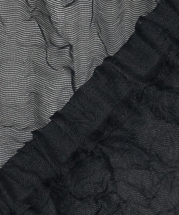 23区 S 【GOLD LABEL】シアーリンクル ブラウス ブラック系