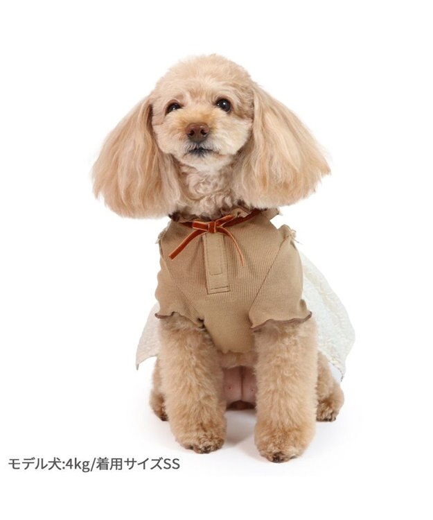 PET PARADISE ディズニー わんわん物語 レディ ワンピース 《ぷくっと花柄》 小型犬 ぷくっと花柄