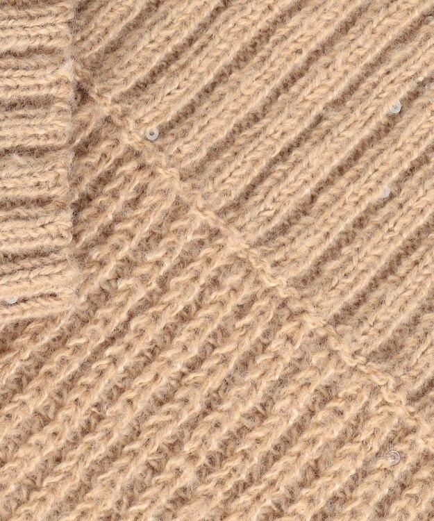 Feroux 【洗える】スパンコール プルオーバーニット ベージュ系