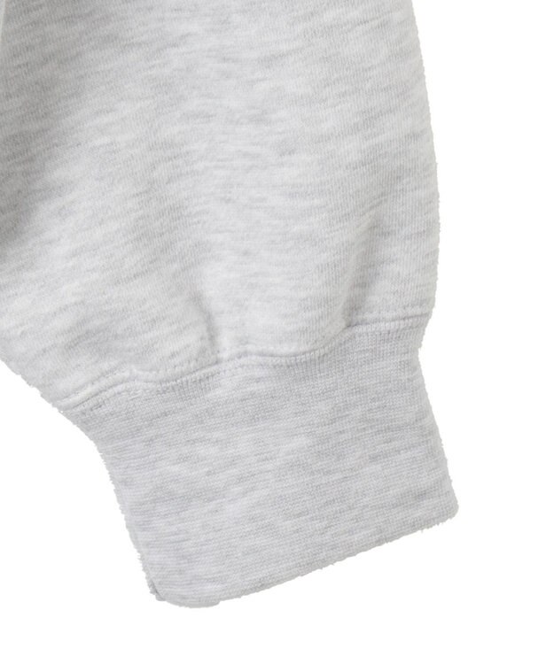 WEGO 【ユニセックス着用ITEM/MLサイズ展開/裏起毛】別注BENDAVISプランプロゴプルオーバー アッシュグレー