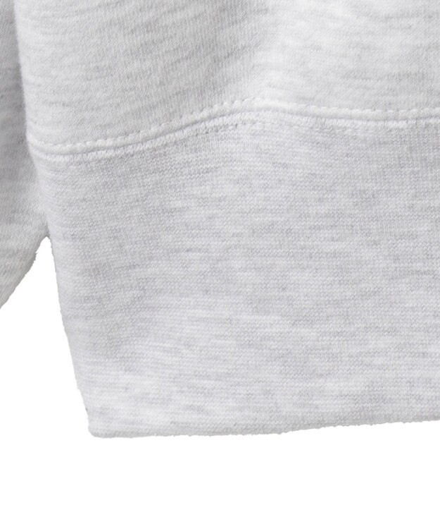 WEGO 【ユニセックス着用ITEM/MLサイズ展開/裏起毛】別注BENDAVISプランプロゴプルオーバー アッシュグレー