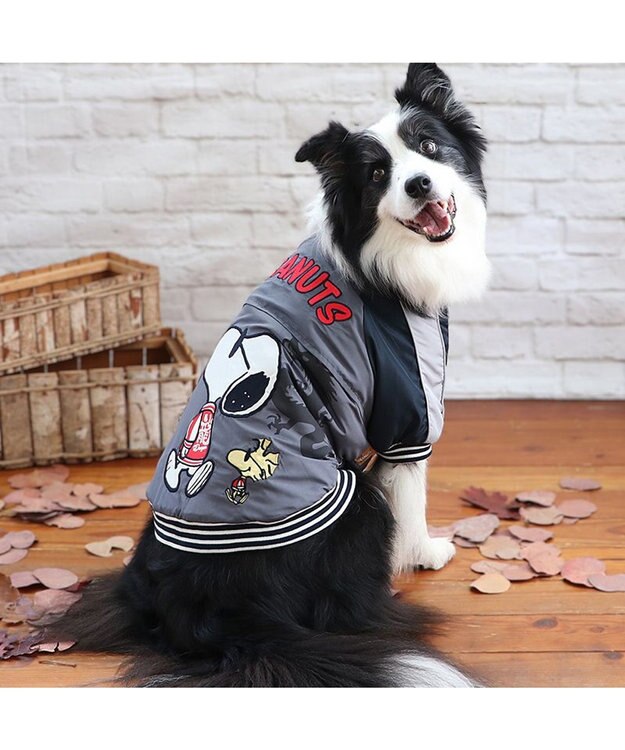 PET PARADISE スヌーピー 遠赤外線 スカジャン 《龍》 中型犬 大型犬 -