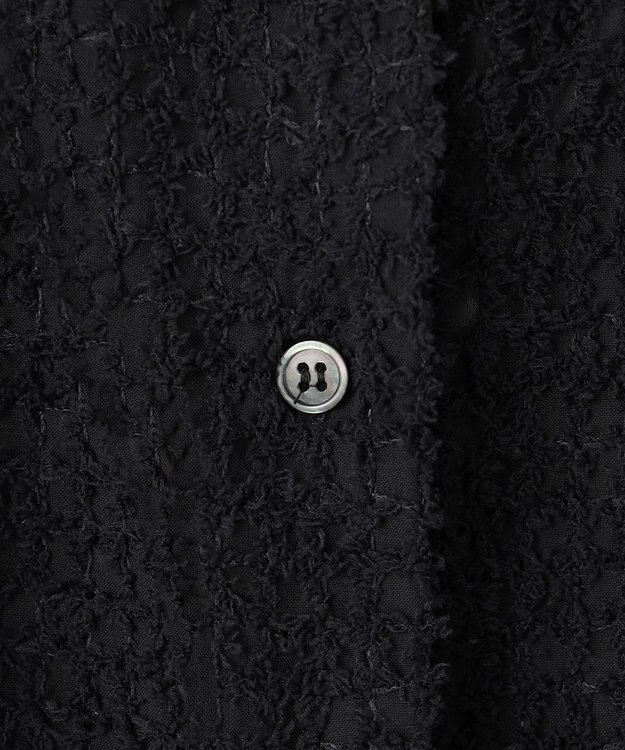 ICB L 【洗える】フェザーエンブロイダリー クロップドシャツ ブラック系