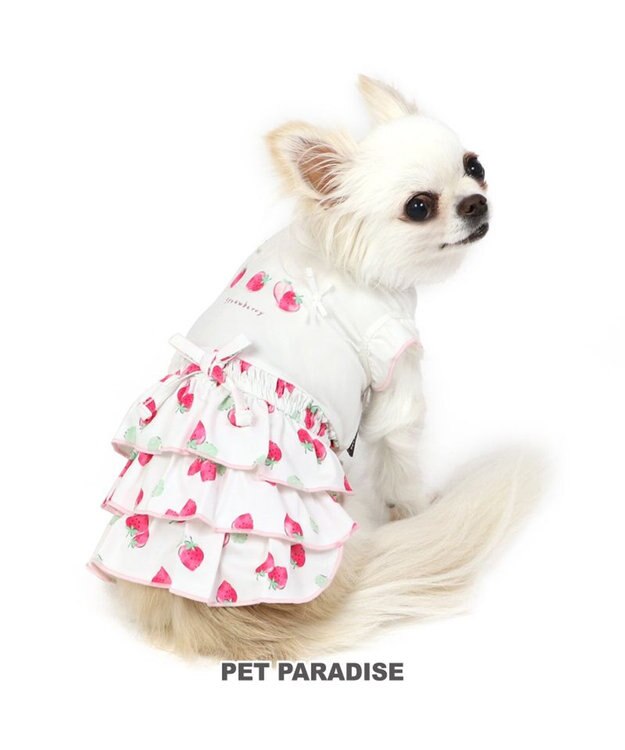 PET PARADISE 犬の服 春夏 ひんやり クール 接触冷感 虫除け 苺 ワンピース 【小型犬】クールマックスエコメイド 白~オフホワイト