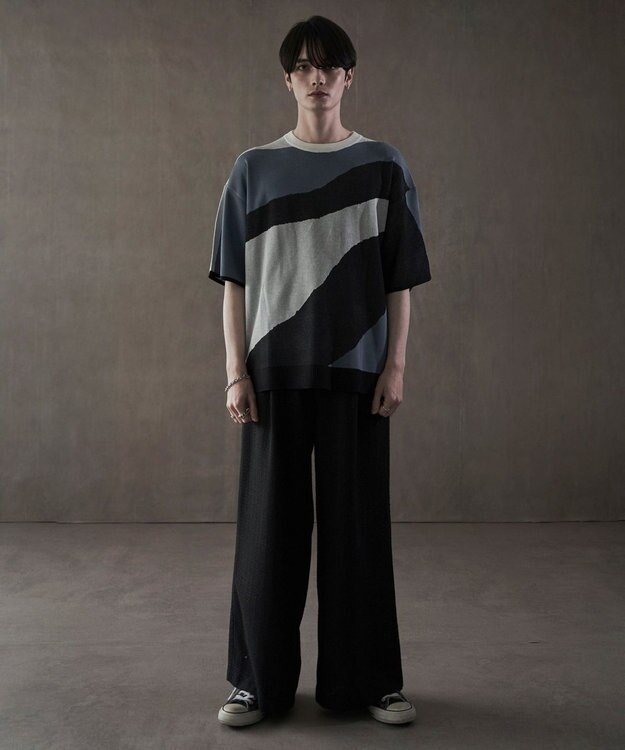 WEGO ジャガードニットT（SS） 柄1