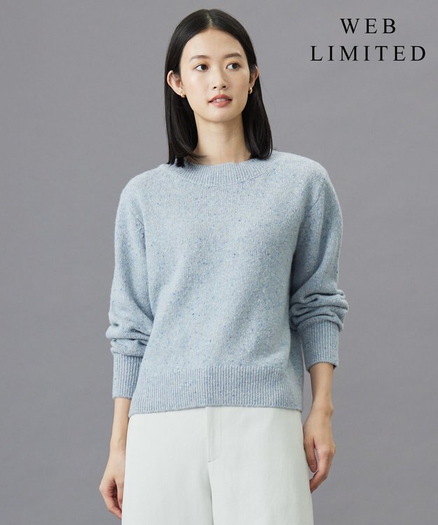 J.PRESS LADIES 【WEB限定・洗える】WOOLY NEP クルーネックニット サックスブルー系
