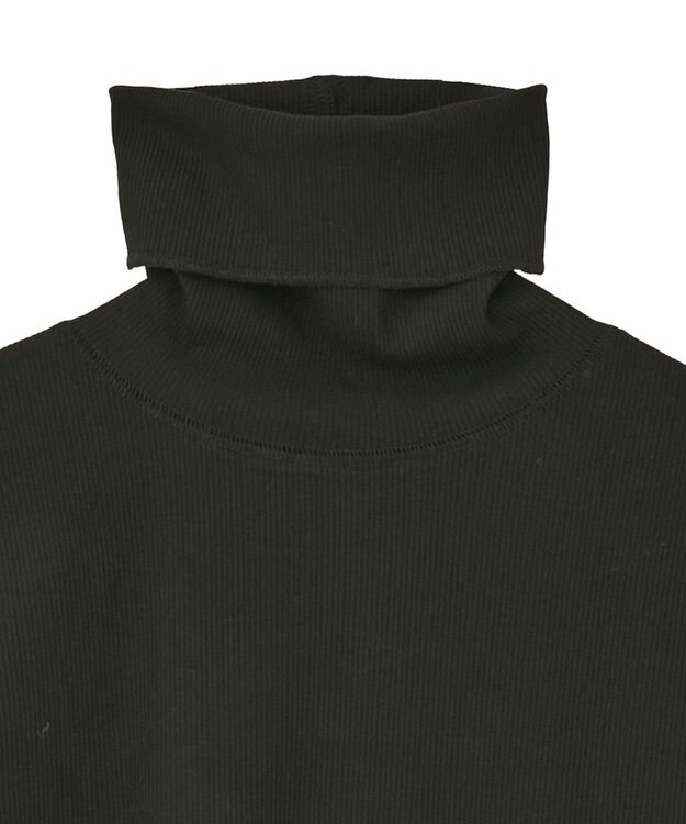 earth music&ecology リブタートルネックプルオーバー Black