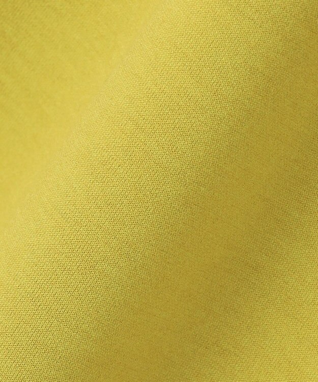 J.PRESS LADIES L 【WEB限定カラーあり・洗える】ダンボール ナロー スカート ピスタチオ系