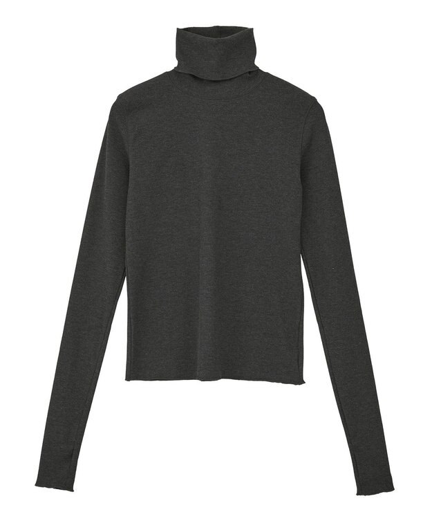 earth music&ecology リブタートルネックプルオーバー Gray