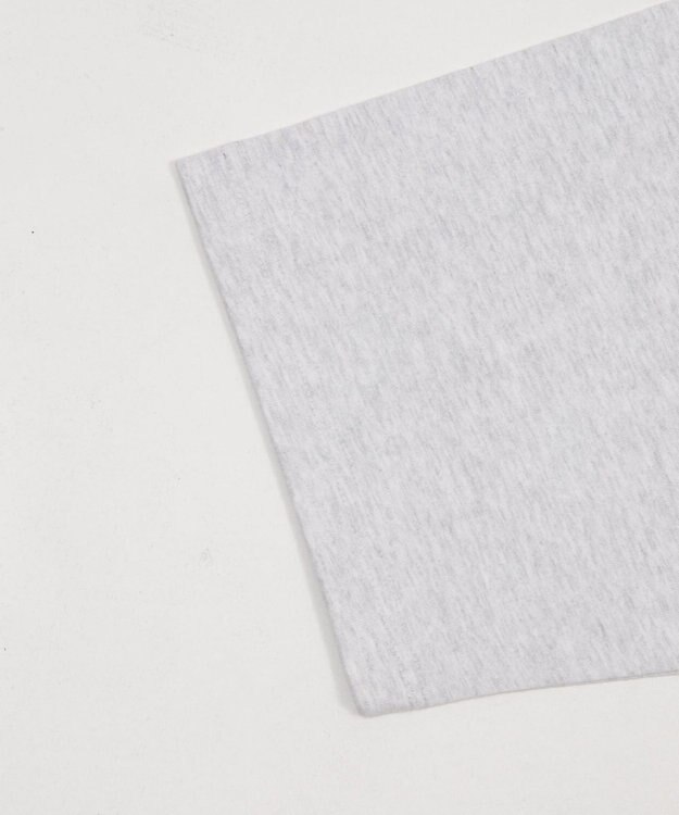 WEGO 【SMLサイズ展開】別注BENDAVISグラフィックT（SS） アッシュグレー