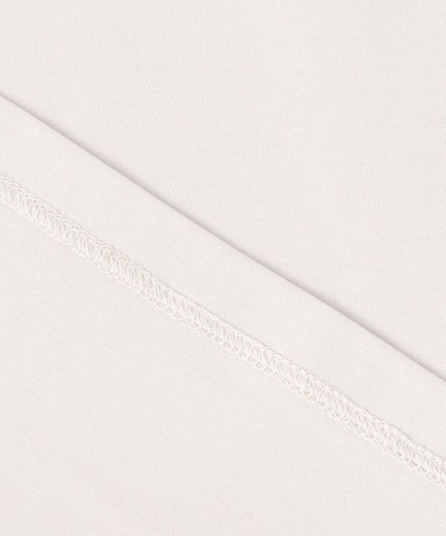 J.PRESS LADIES L 【WEB限定カラーあり・洗える】スムースジャージー カットソー グレージュ系