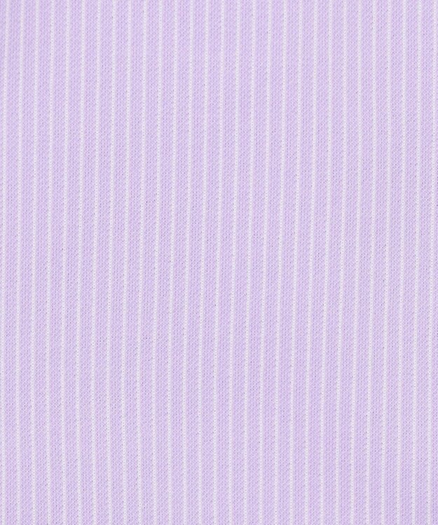 J.PRESS LADIES 【WEB限定カラーあり・洗える】ストライプジャージー フレンチスリーブ カットソー ライラックストライプ系