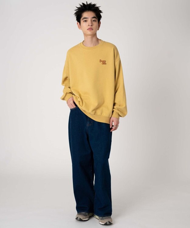 WEGO 【裏起毛/ユニセックス着用ITEM/SMLサイズ展開】アソートグラフィックプルオーバー（4） 柄53