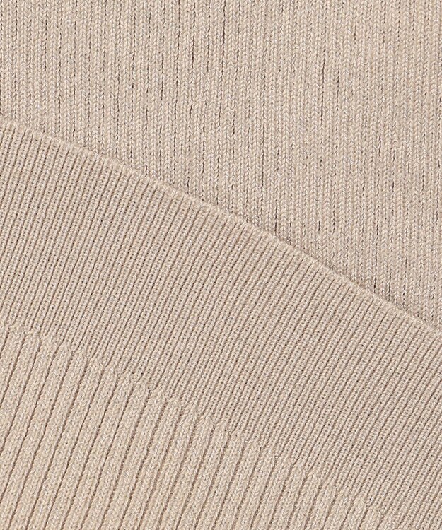 ANY ラメリブニット ベージュ