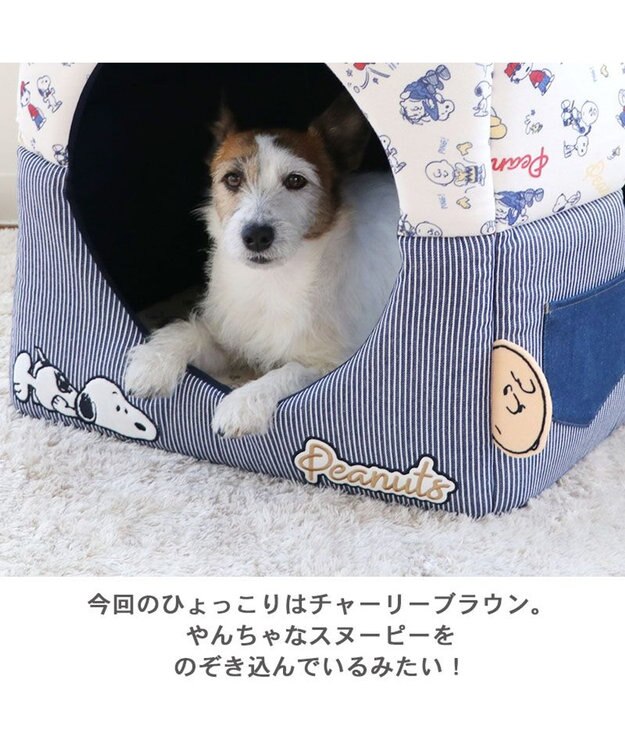 PET PARADISE スヌーピー ２ｗａｙヒッコリー ハウス (46×46cm) -