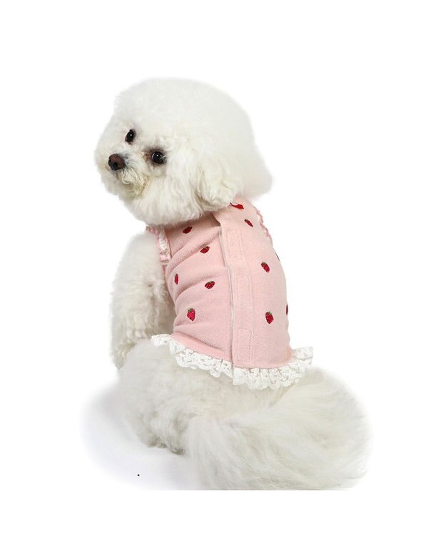 PET PARADISE ペットパラダイス サーモキープ 背中開き タンクトップ  《苺 刺繍》 小型犬 苺 刺繍