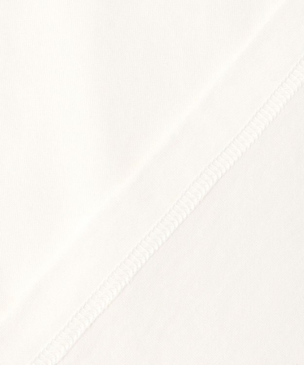 JOSEPH ABBOUD MOUNTAIN 【テーム・ヤルヴィコラボレーション/ゆったり】　　プレーティング天竺ヤルヴィー Tシャツ キツネ