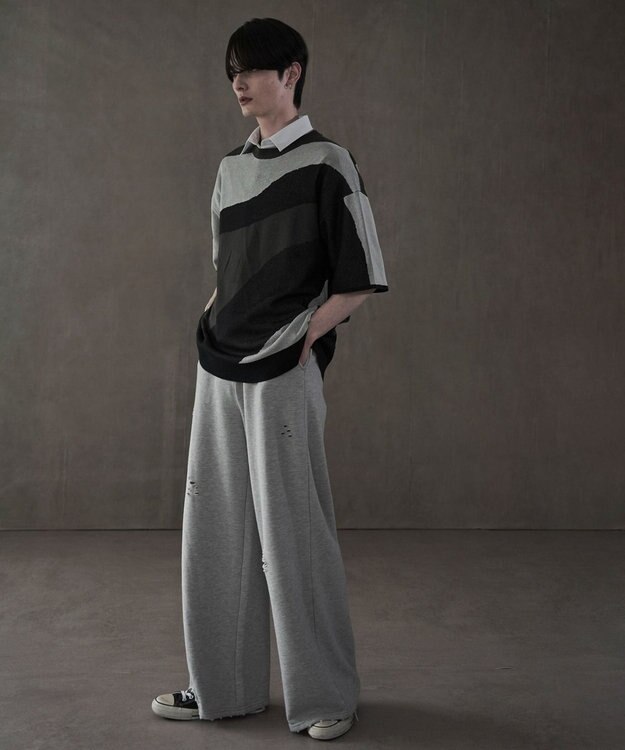 WEGO ジャガードニットT（SS） 柄2