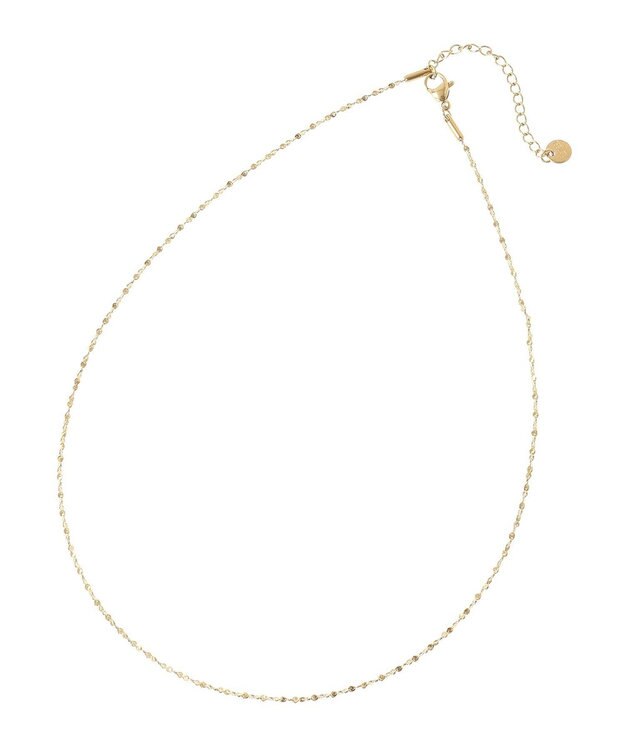 Green Parks ｅｖｅｒｙｗａｌｋ．ステンレス２本セットチェーンネックレス Gold