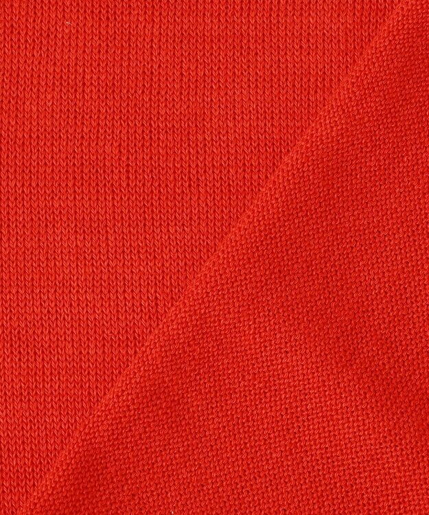 23区 【先行予約】ピュアリネン スキッパー ポロニット レッド系