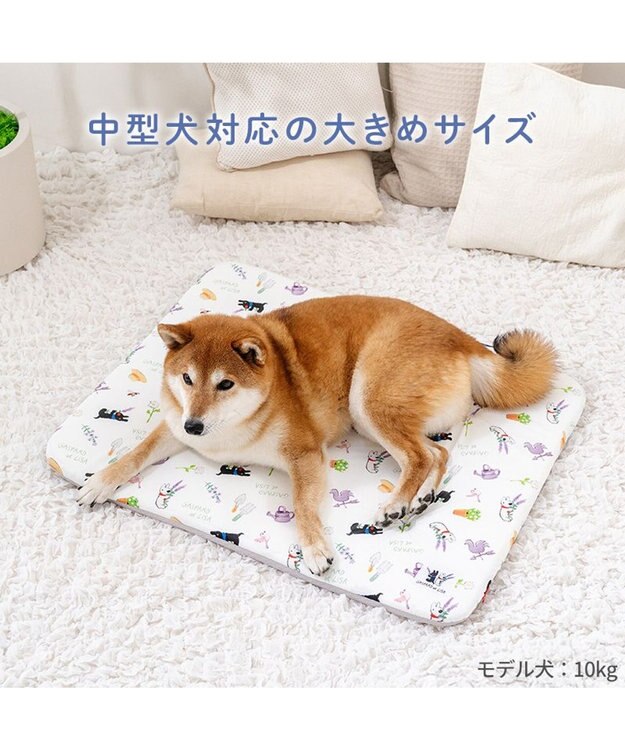 PET PARADISE リサとガスパール もちっと クールマット ホワイト