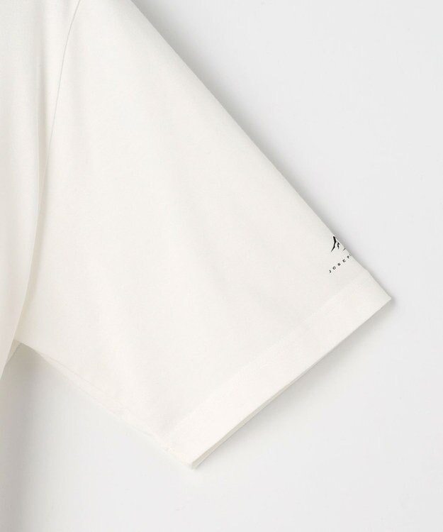 JOSEPH ABBOUD MOUNTAIN 【テーム・ヤルヴィコラボレーション/ゆったり】　　プレーティング天竺ヤルヴィー Tシャツ キツネ