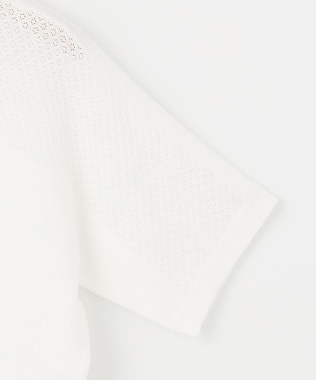 組曲 【WEB限定】メッシュ切り替えドルマン ニット アイボリー系