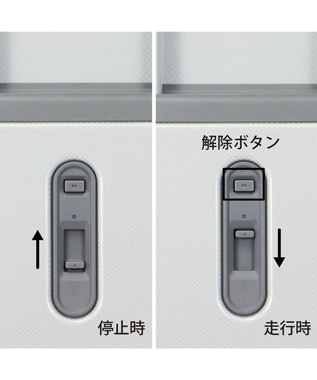 ACE BAGS & LUGGAGE ace. エース パリセイド3-Z 06917 スーツケース ジッパータイプ エキスパンダブル 33~41リットル ホワイトカーボン