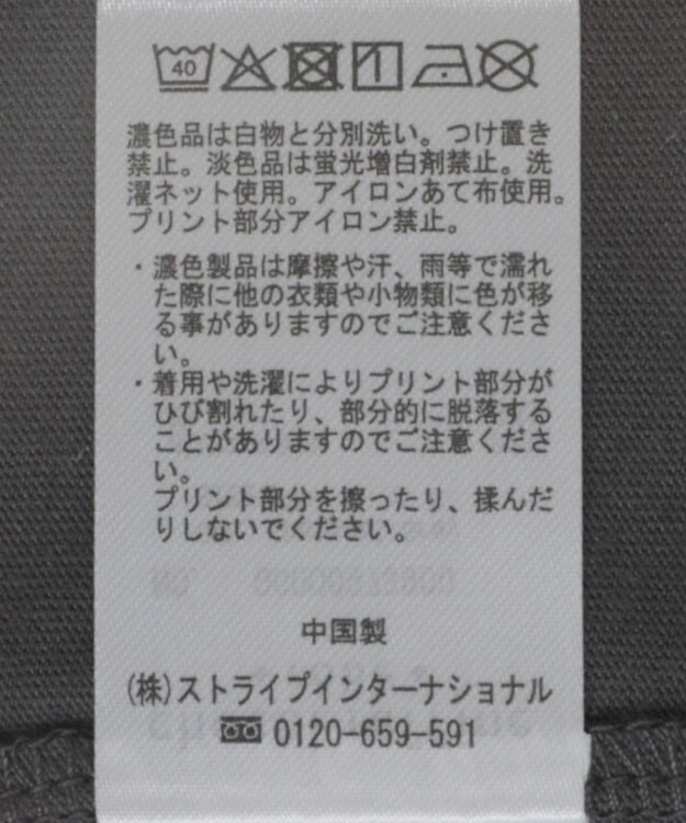 Green Parks ＳＥＴ２点フォトＴシャツ＋レースキャミビスチェ Charcoal Gray