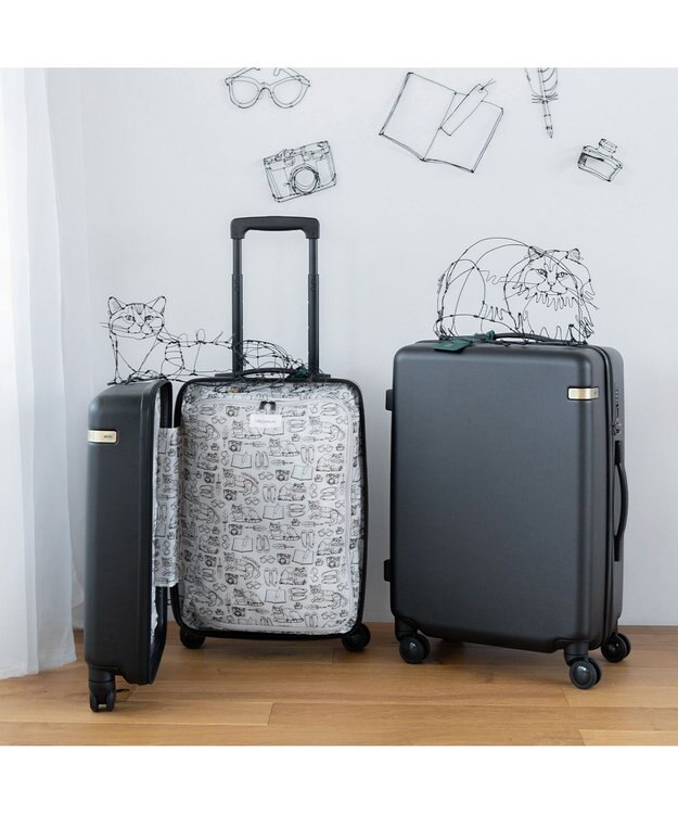 ACE BAGS & LUGGAGE HAyU × ace.  パキラ スーツケース 34L 機内持込 05781 エース ブラック