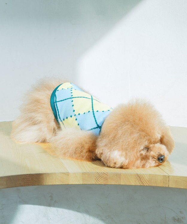 COQ VINTAGE SWEATER アーガイルドッグウェア スカイブルー