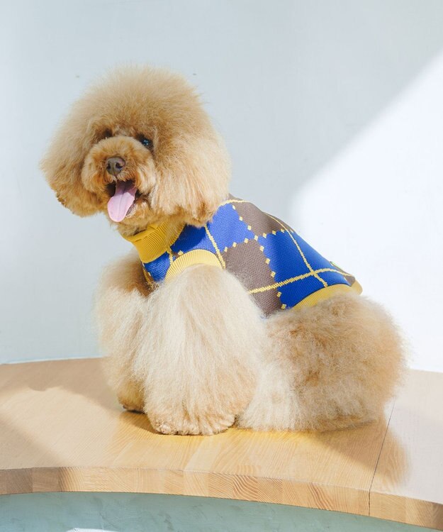 COQ VINTAGE SWEATER アーガイルドッグウェア ブルー