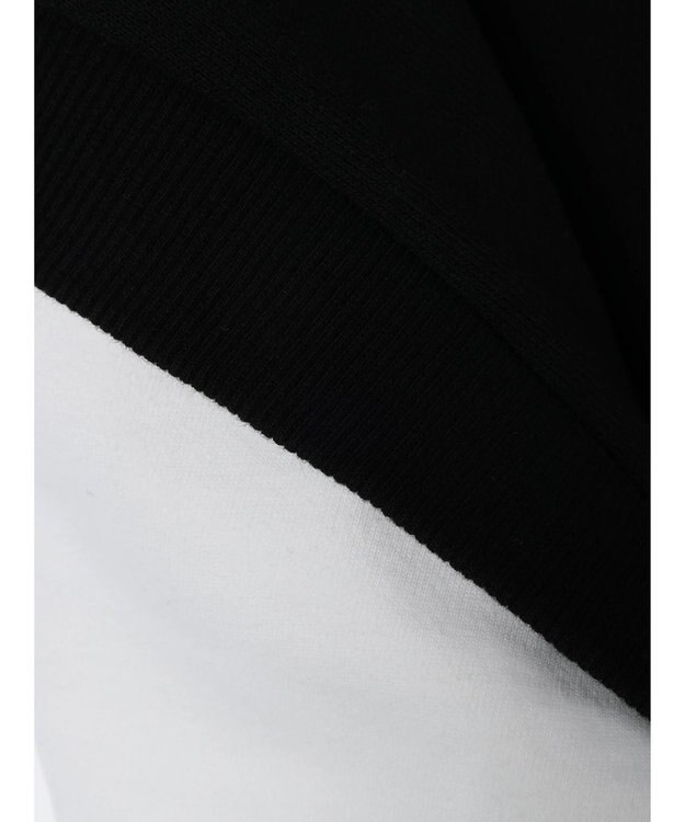 CRAFT STANDARD BOUTIQUE 裏毛袖レイヤード風パーカー Black